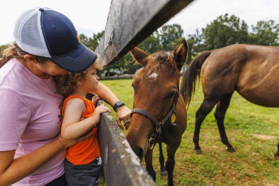 A woman stands with a young child at a fence and interacts with a horse on the other side.