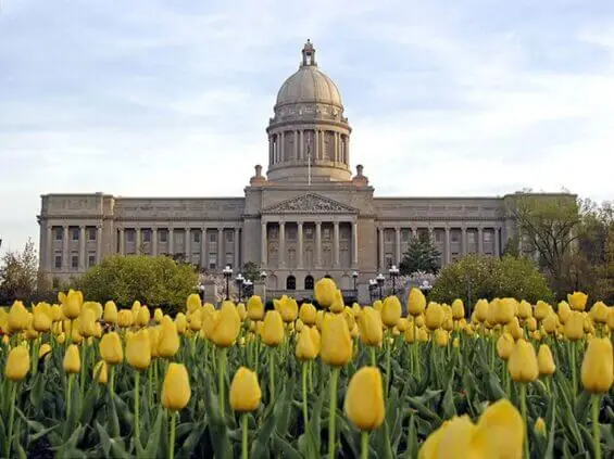 The capitol building in Franklin County is foregrounded by blooming yellow tulips.